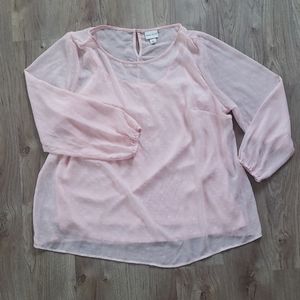 NWOT Sheer Blush Shimmer Blouse w/ Attached Cami